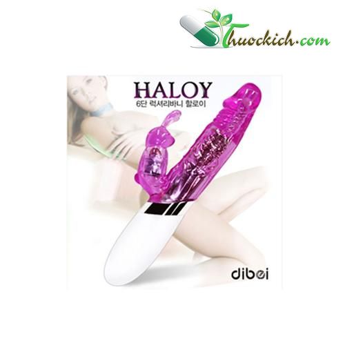 duong-vat-gia-haloy 1