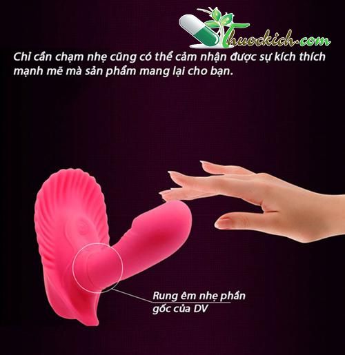 duong-vat-gia-vo-so 9