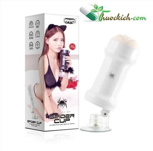 ÂM ĐẠO GIẢ DÁN TƯỜNG SPIDER EVO
