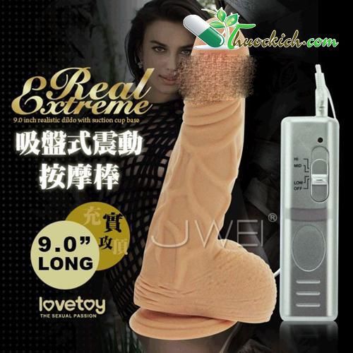 DƯƠNG VẬT GIẢ SIZE TO